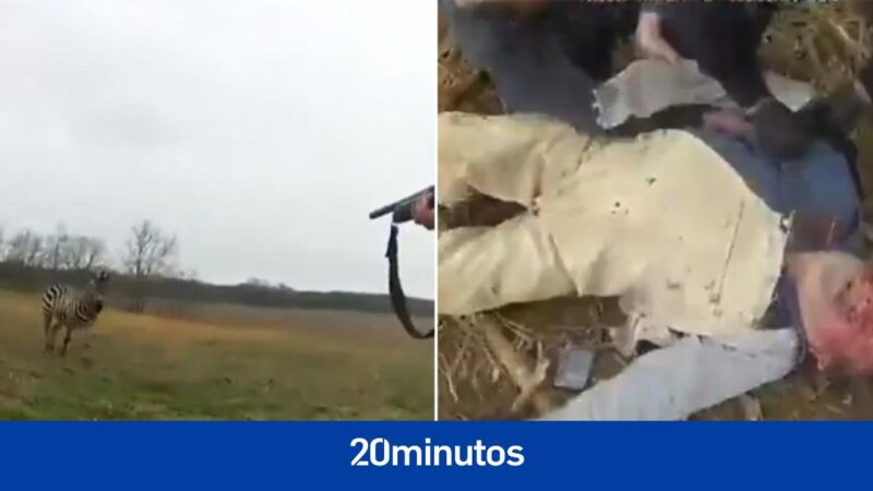 A zebra was shot and killed after biting its owner several times and attacking police officers who came to its rescue.