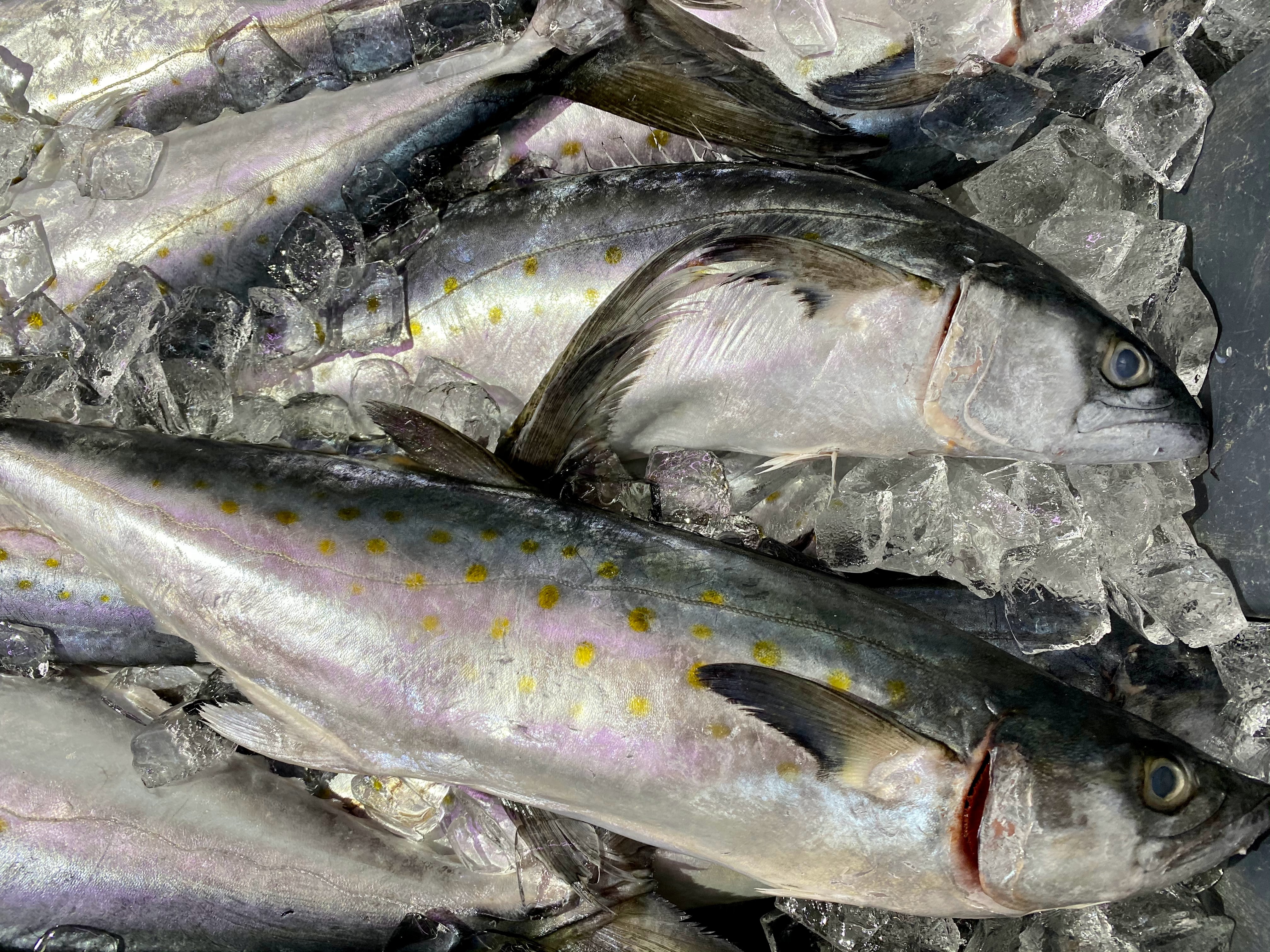 Oily fish is a great source of omega-3 fatty acids, which promote the release of nitric oxide, a vasodilator.