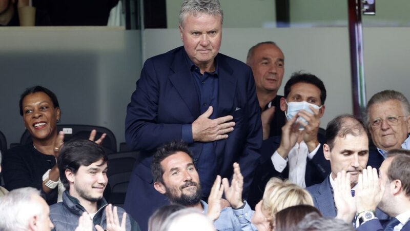Hiddink appointed KNVB national knight for great achievements in soccer